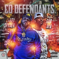 Co-Defendants - Rey Spyder
