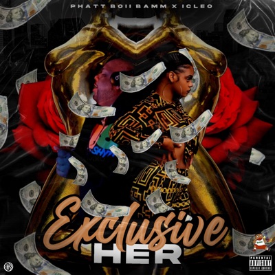 Exclusiver Her (feat. Icleo) - Single