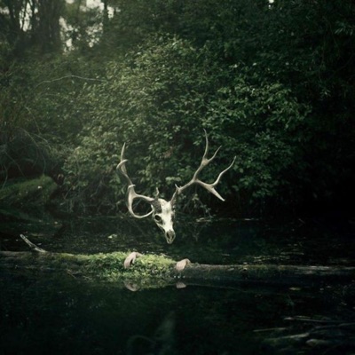 7 Weeks & 3 Days (sped up)