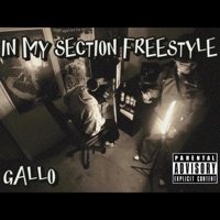 In My Section Freestyle - Single - GALLO