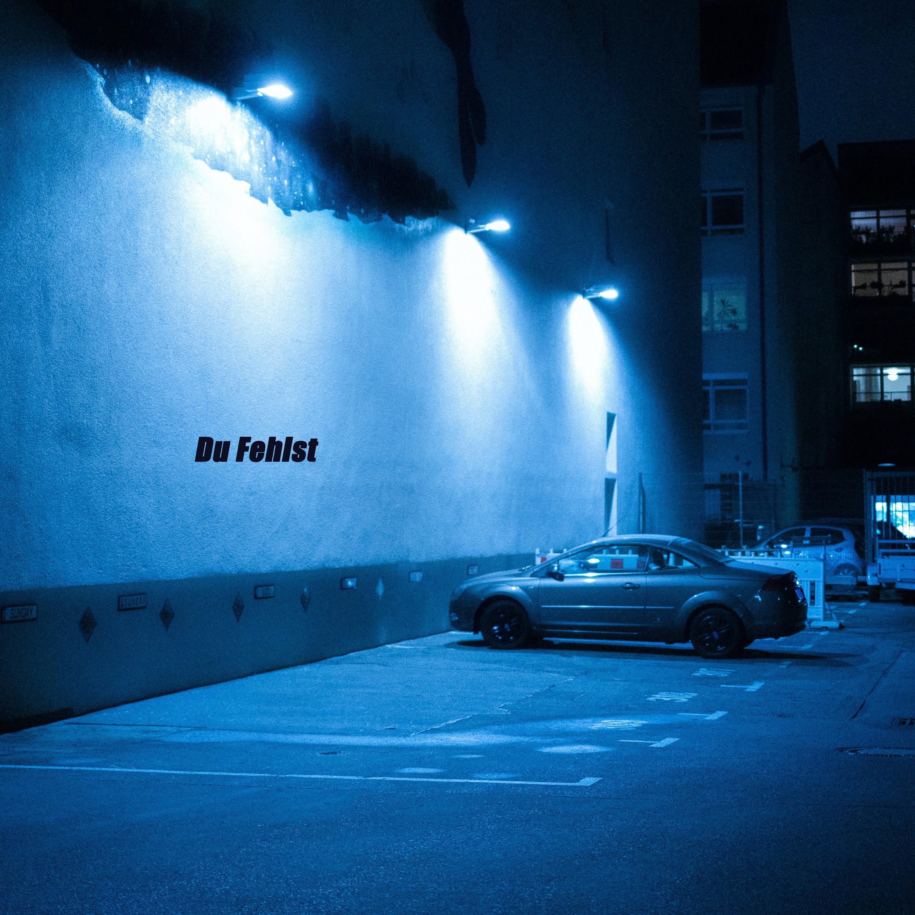Du Fehlst - Single