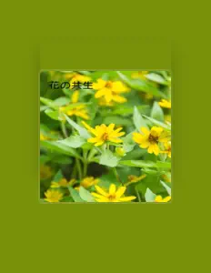 Ακούστε περιεχόμενο από Lonely Yeah, παρακολουθήστε μουσικά βίντεο, διαβάστε το βιογραφικό, δείτε ημερομηνίες περιοδείας, και πολλά ακόμη!