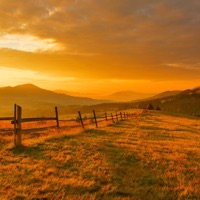 Somewhere Out There - Single - LANDNN