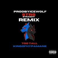 Str8 (feat. Too Tall & KingofHypamane) - Single - Prodbyicewolf
