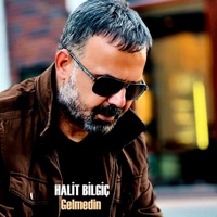 Gelmedin - Single - Halit Bilgiç
