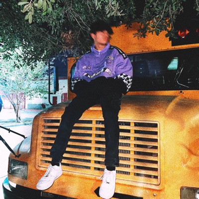 Dropout - Single
