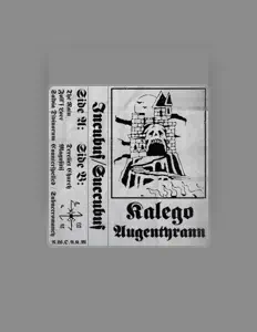 收听 kALEGO、观看音乐视频、阅读小传、查看巡演日期等 ！