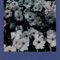 Album cover for You're a Liar and You Suck, Who Would Love You? by Airospace