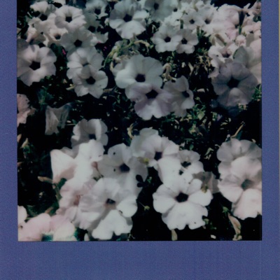 You're a Liar and You Suck, Who Would Love You?