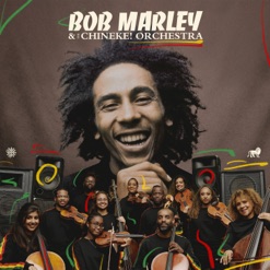 BOB MARLEY & THE CHINEKE ORCHESTRA cover art