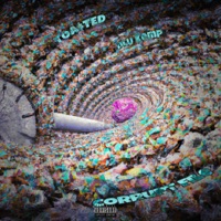 Corrupt File (feat. DLU Kemp) - Single - Toa$ted