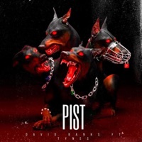 Pist (feat. Tynes) - Single - David Banks