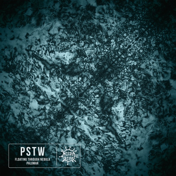 Floating Through Nebula / Palomar - Single