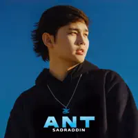 ANT — Sadraddin