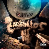 Ladrillos 3 - Saint300