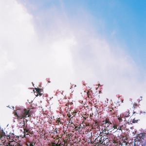 Good Days - Single