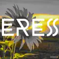Eres