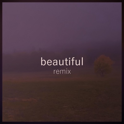 BEAUTIFUL (Bappus J-R Remix) - Single