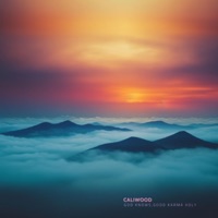 Resolutions - Single - Caliwood, Shaun Wood & Caligrafi Jones