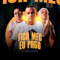 Fica Mec, Eu Pago (feat. DJ Karuso) - Single - WB, Mc Leizin & Mc Rangel