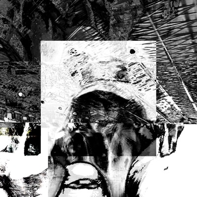 these wings are unable to carry this shell of mine - Single