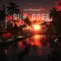 Sun Goes Down