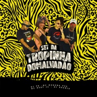 Set da Tropinha do Malvadão - Single - MC Baby JC, Dj Granja, DJ PK & MC Morena PZS