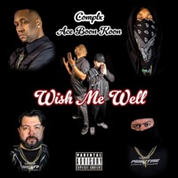 Wish me well (feat. Complex1) - Single - Boonkoon