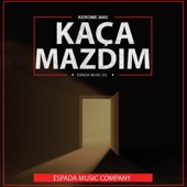 kaçamazdım (feat. MG) artwork