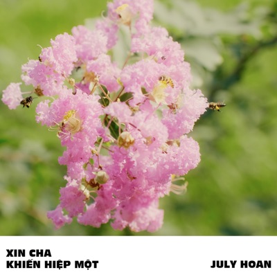 Xin Cha Khiến Hiệp Một - Single