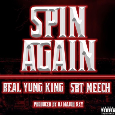 Spin Again (feat. SRT Meech) - Single