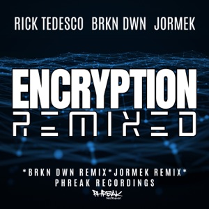 Encryption Remixed - Single
