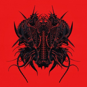 The Wrong Place / Scylla - Single