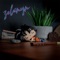 Sleepy Yamcha - Zolanyn lyrics