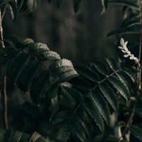 Shifting Waves - Single - Andres Jacque