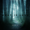 Bull Beats - What Is Love (Remix) artwork