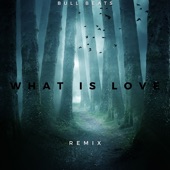 What Is Love (Remix) artwork