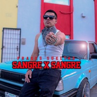 Sangre X Sangre - Single - Frases Sueltas