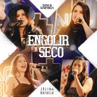 Engolir a Seco (Ao Vivo) - Single - Dani & Gabriela & Júlia & Rafaela