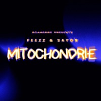 Mitochondrie - Single - FEEZZ & DEACON