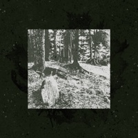 Крапивный букет - Single - Зубы:) & Стул Сталина