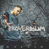 Ciebie Szukałem - Single - Małach & PSR