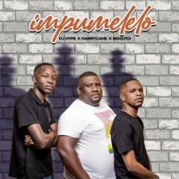 Impumelelo - Single - DJ Hype, Harrycane & Benzito