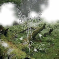 Light In the Dark - Single - ArukuZan