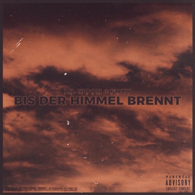 Bis Der Himmel Brennt (feat. Foxy) - Single