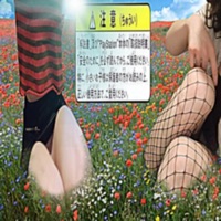 Field - Single - 104mormo