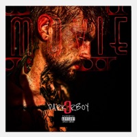 Movie - Single - Park3rBoy