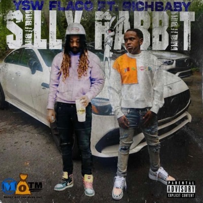 Silly Rabbit (feat. RichBaby) - Single