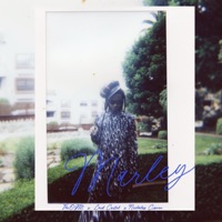 Marley (feat. Lord Cartel) - Single - theOGM