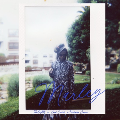 Marley (feat. Lord Cartel) - Single